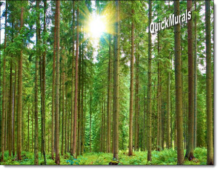 Morning Forest Peel & Stick Self Adhesive Canvas Wall Mural