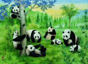 Panda Wall Mural