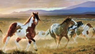 Desert Horse Mural