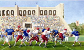 Football Wall Mural