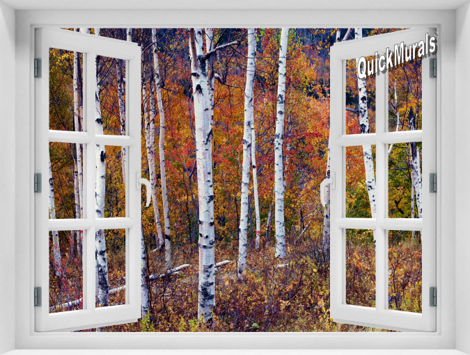 Autumn Birch Forest Instant Window Mural 