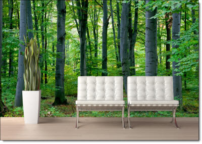 woodland forest wall mural roomsetting