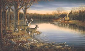 Tranquil Evening Mural